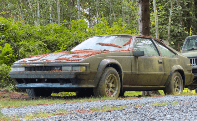 Dusty 1984 Toyota Supra covered in fallen pine needles, parked at the edge of the woods.