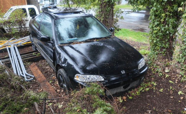 Black 1994 Honda Civic coupe nosed into a hedge, its paint dulled by dirt and leaves.