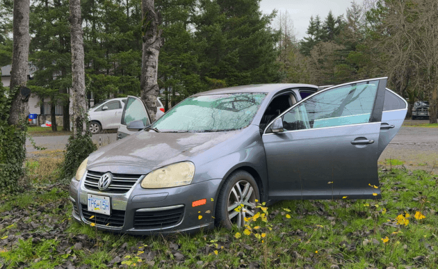 Grey 2006 Volkswagen Jetta with a cracked windshield and a door open, parked on wet grass.